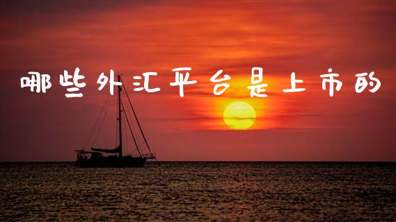哪些外汇平台是上市的_https://www.gongyisiwang.com_广发期货手续费_第1张