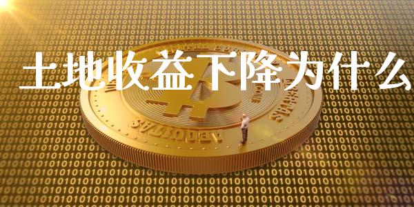 土地收益下降为什么_https://www.gongyisiwang.com_焦炭期货手续费_第1张