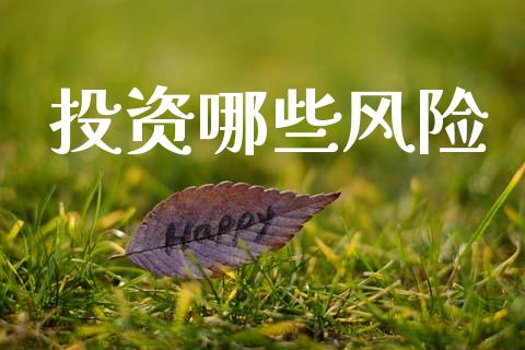 投资哪些风险_https://www.gongyisiwang.com_焦炭期货手续费_第1张