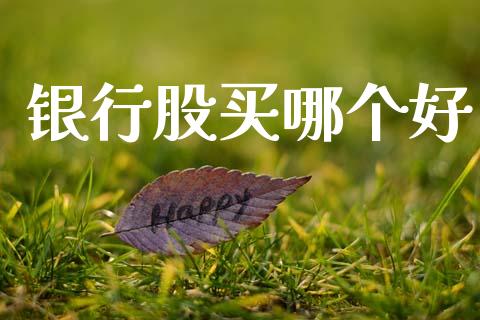 银行股买哪个好_https://www.gongyisiwang.com_股指期货交易手续费_第1张