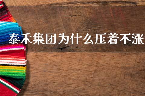 泰禾集团为什么压着不涨_https://www.gongyisiwang.com_股指期货_第1张