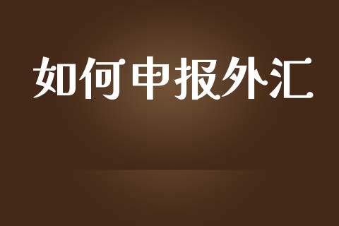 如何申报外汇_https://www.gongyisiwang.com_期货公司手续费排名_第1张