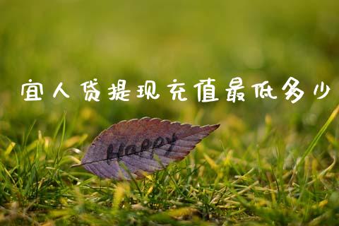 宜人贷提现充值最低多少_https://www.gongyisiwang.com_原油期货_第1张