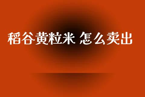 稻谷黄粒米 怎么卖出_https://www.gongyisiwang.com_股指期货_第1张