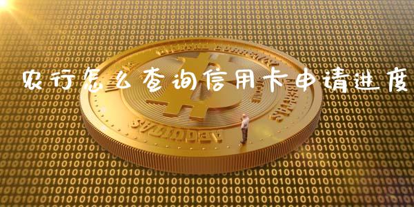 农行怎么查询信用卡申请进度_https://www.gongyisiwang.com_道指_第1张
