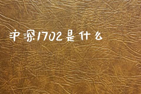 沪深1702是什么_https://www.gongyisiwang.com_股指期货交易手续费_第1张