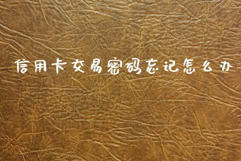 信用卡交易密码忘记怎么办_https://www.gongyisiwang.com_道指_第1张