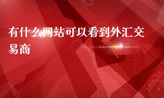 有什么网站可以看到外汇交易商_https://www.gongyisiwang.com_股指期货交易手续费_第1张