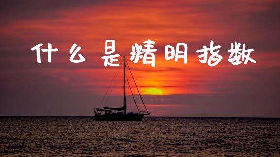 什么是精明指数_https://www.gongyisiwang.com_期货公司手续费排名_第1张