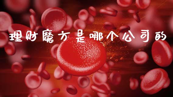 理财魔方是哪个公司的_https://www.gongyisiwang.com_道指_第1张