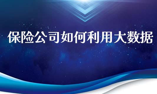 保险公司如何利用大数据_https://www.gongyisiwang.com_股指期货交易手续费_第1张