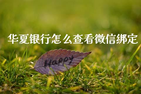 华夏银行怎么查看微信绑定_https://www.gongyisiwang.com_原油期货_第1张