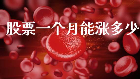 股票一个月能涨多少_https://www.gongyisiwang.com_期货公司手续费排名_第1张