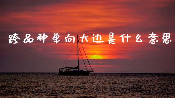 跨品种单向大边是什么意思_https://www.gongyisiwang.com_道指_第1张