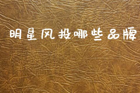 明星风投哪些品牌_https://www.gongyisiwang.com_广发期货手续费_第1张