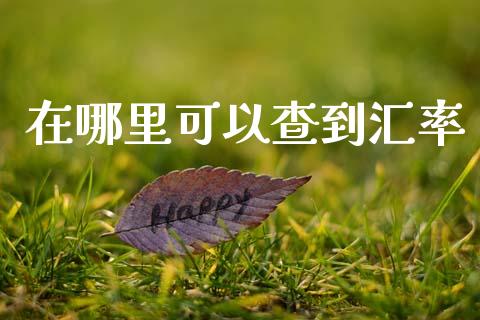 在哪里可以查到汇率_https://www.gongyisiwang.com_焦炭期货手续费_第1张