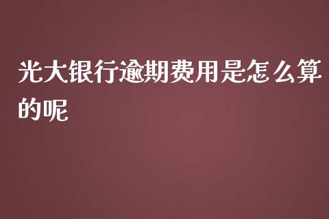 光大银行逾期费用是怎么算的呢_https://www.gongyisiwang.com_恒指期货_第1张