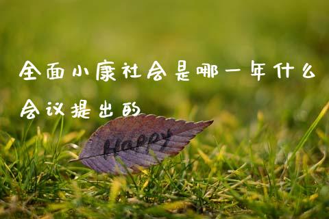 全面小康社会是哪一年什么会议提出的_https://www.gongyisiwang.com_期货公司手续费排名_第1张