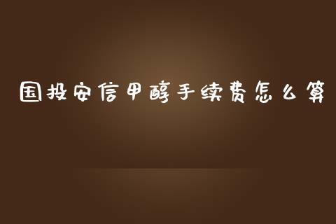 国投安信甲醇手续费怎么算_https://www.gongyisiwang.com_道指_第1张