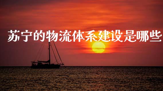 苏宁的物流体系建设是哪些_https://www.gongyisiwang.com_恒指期货_第1张