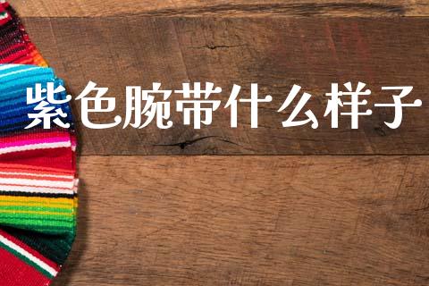 紫色腕带什么样子_https://www.gongyisiwang.com_恒指期货_第1张