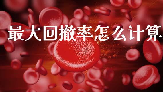 最大回撤率怎么计算_https://www.gongyisiwang.com_股指期货交易手续费_第1张