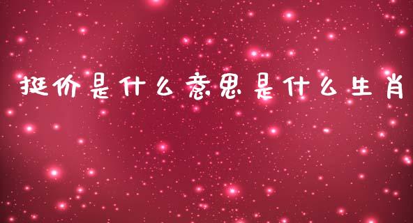 挺价是什么意思是什么生肖_https://www.gongyisiwang.com_股指期货_第1张