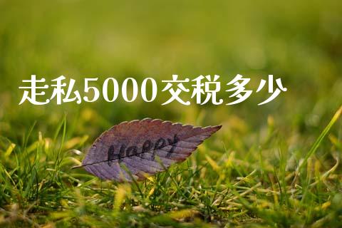 走私5000交税多少_https://www.gongyisiwang.com_焦炭期货手续费_第1张