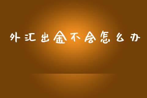 外汇出金不会怎么办_https://www.gongyisiwang.com_股指期货_第1张