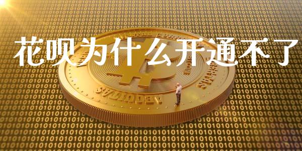 花呗为什么开通不了_https://www.gongyisiwang.com_期货公司手续费排名_第1张