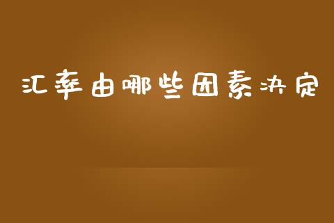 汇率由哪些因素决定_https://www.gongyisiwang.com_恒指期货_第1张