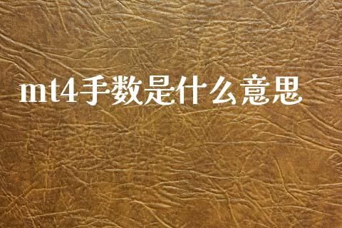 mt4手数是什么意思_https://www.gongyisiwang.com_原油期货_第1张