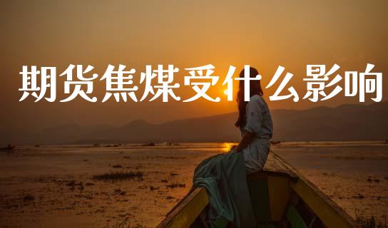 期货焦煤受什么影响_https://www.gongyisiwang.com_期货公司手续费排名_第1张