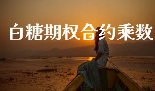白糖期权合约乘数_https://www.gongyisiwang.com_道指_第1张