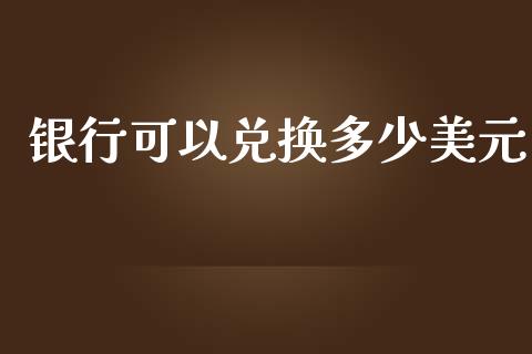 银行可以兑换多少美元_https://www.gongyisiwang.com_股指期货交易手续费_第1张