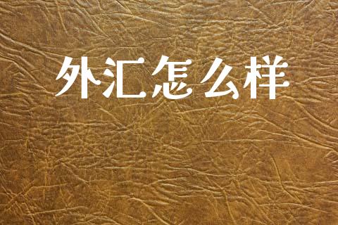 外汇怎么样_https://www.gongyisiwang.com_焦炭期货手续费_第1张