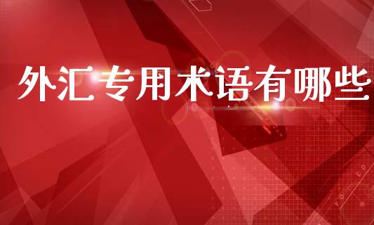 外汇专用术语有哪些_https://www.gongyisiwang.com_道指_第1张