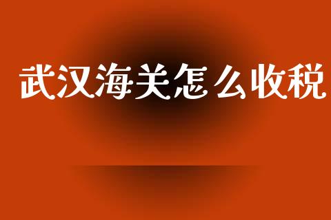 武汉海关怎么收税_https://www.gongyisiwang.com_焦炭期货手续费_第1张