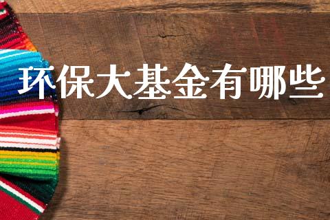 环保大基金有哪些_https://www.gongyisiwang.com_期货公司手续费排名_第1张