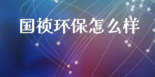 国祯环保怎么样_https://www.gongyisiwang.com_广发期货手续费_第1张