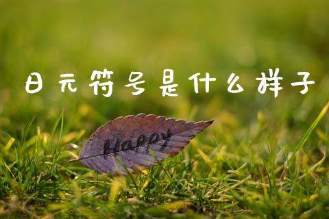 日元符号是什么样子_https://www.gongyisiwang.com_期货公司手续费排名_第1张