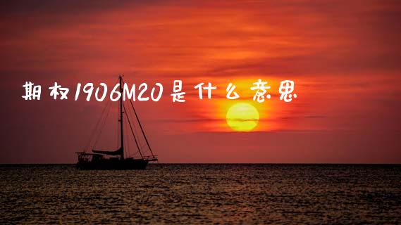 期权1906M20是什么意思_https://www.gongyisiwang.com_股指期货交易手续费_第1张