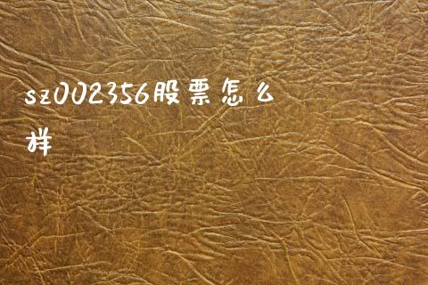 sz002356股票怎么样_https://www.gongyisiwang.com_股指期货_第1张