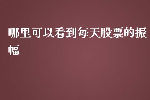 哪里可以看到每天股票的振幅_https://www.gongyisiwang.com_股指期货交易手续费_第1张
