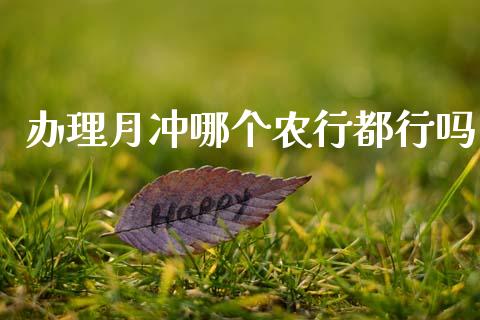 办理月冲哪个农行都行吗_https://www.gongyisiwang.com_期货公司手续费排名_第1张