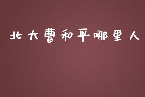 北大曹和平哪里人_https://www.gongyisiwang.com_焦炭期货手续费_第1张