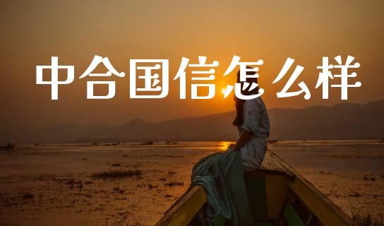 中合国信怎么样_https://www.gongyisiwang.com_广发期货手续费_第1张