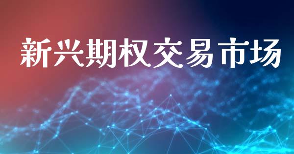 新兴期权交易市场_https://www.gongyisiwang.com_广发期货手续费_第1张