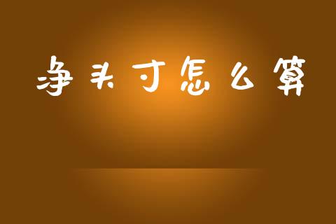 净头寸怎么算_https://www.gongyisiwang.com_恒指期货_第1张