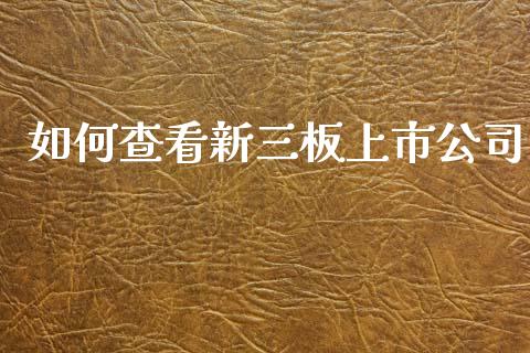 如何查看新三板上市公司_https://www.gongyisiwang.com_恒指期货_第1张